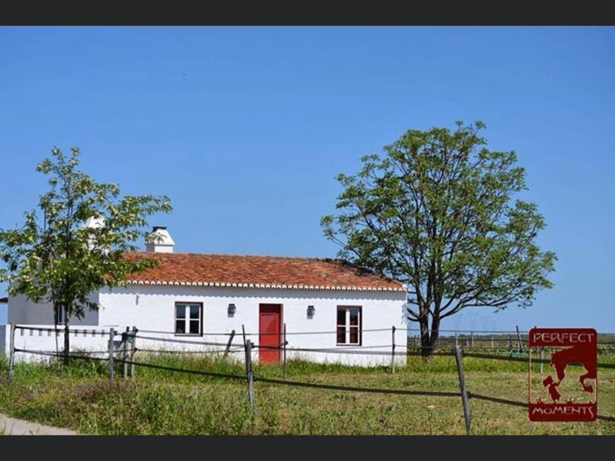 알터도차오 Monte Da Boavista - Country Family House 빌라 외부 사진